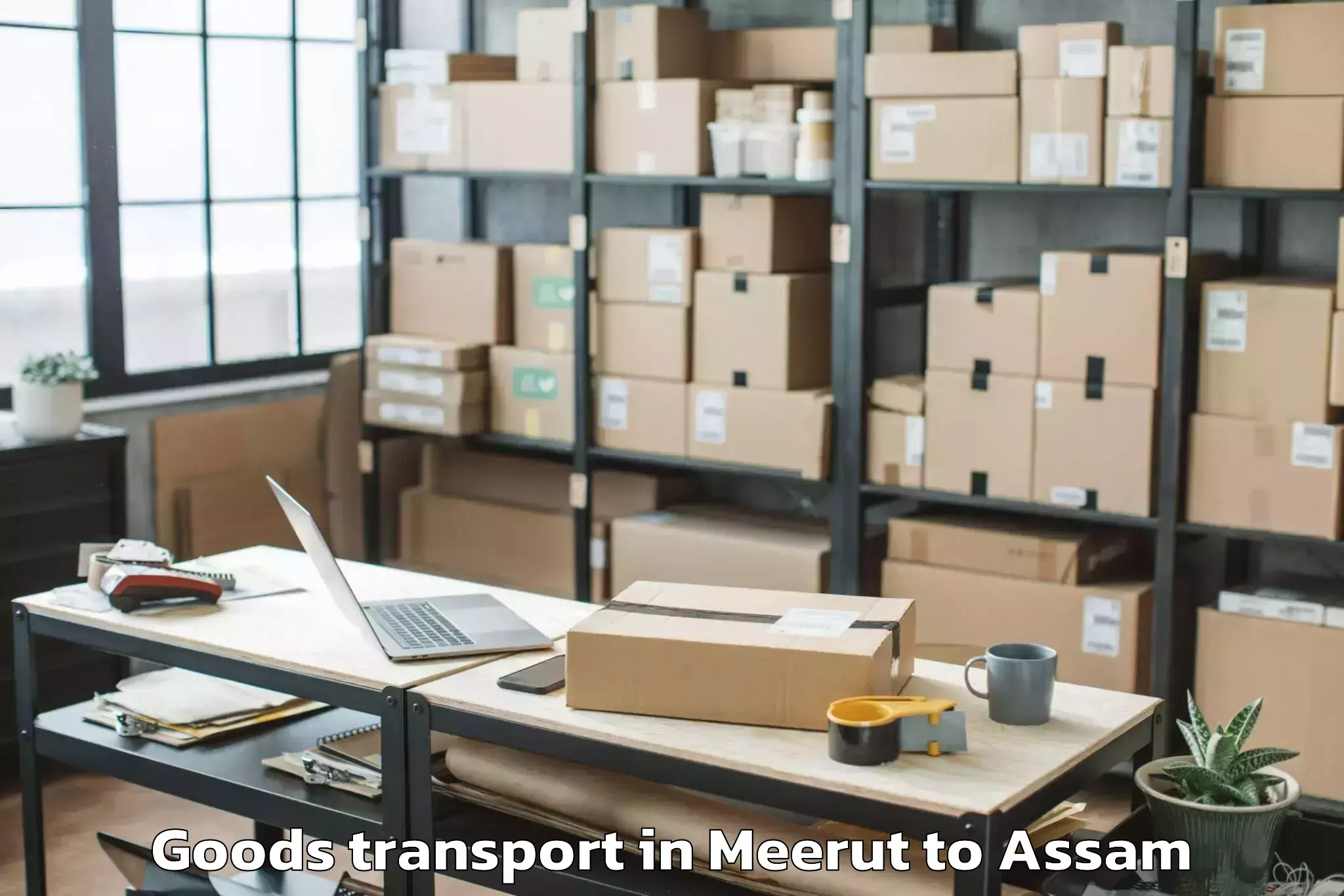 Expert Meerut to Lala Assam Goods Transport